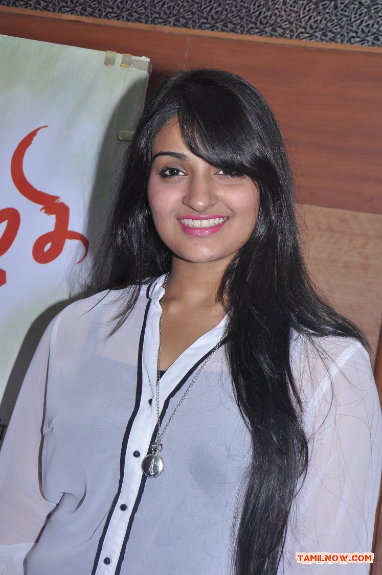 Meiazhagi Pressmeet Stills 2934