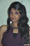 Miss South India 2013 Press Meet 4656