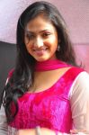 Haripriya At 3 Aum Parvai Pooja 14