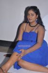 Naangam Thamizhan Audio Launch Photos 3087