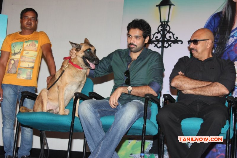 2014 Stills Naayigal Jaakirathai Pressmeet Tamil Movie Event 836