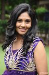 Geetha At Nee Yellam Nalla Varuvada Audio Launch 211
