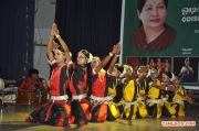 Odisha State Cultural Festival 1336