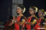 Odisha State Cultural Festival 4568