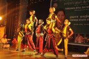 Odisha State Cultural Festival 8604