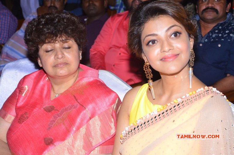 Paayum Puli Audio Launch Function Aug 2015 Gallery 9126