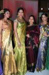 Palam Fashion Show Stills 448