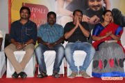 Pappali Movie Audio Launch 6443