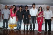 Paradesi Audio Launch Stills 1584