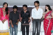 Paradesi Audio Launch Stills 4126