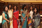 Parvathy Omanakuttan Launches Kovai Palam Silks 355
