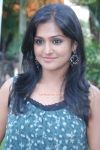 Remya Nambeesan 993