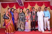 Pro Vp Mani Daughter Gayathri Wedding Reception 2464