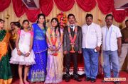 Pro Vp Mani Daughter Gayathri Wedding Reception 3569