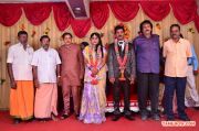 Pro Vp Mani Daughter Gayathri Wedding Reception 5345