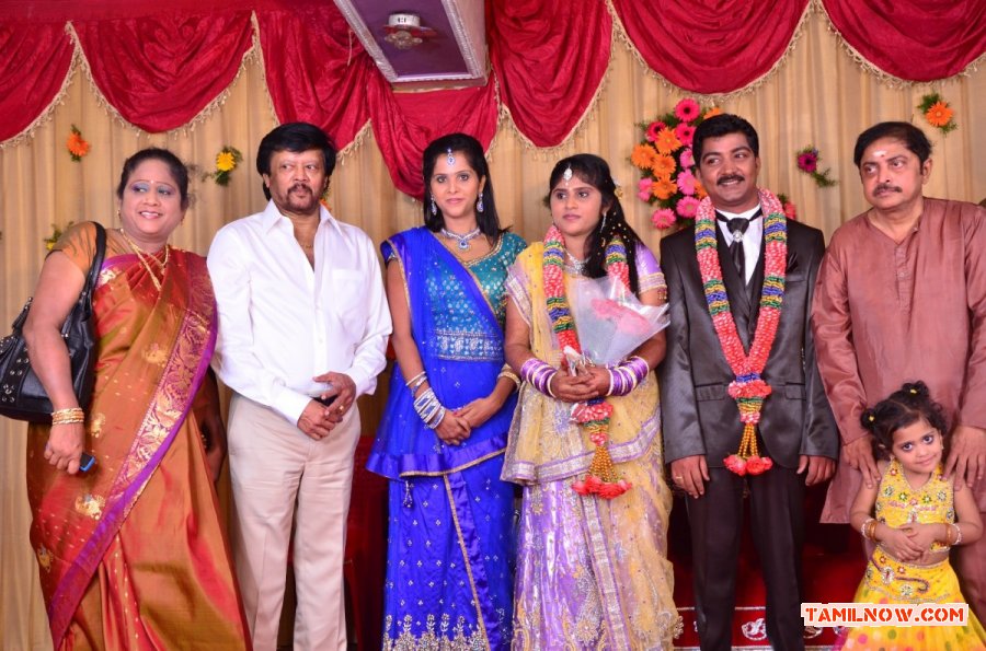 Pro Vp Mani Daughter Gayathri Wedding Reception 7025