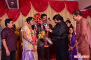 Pro Vp Mani Daughter Gayathri Wedding Reception Photos 1549