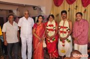 Pro Vp Mani Daughter Gayathri Wedding Reception Photos 2490