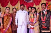 Pro Vp Mani Daughter Gayathri Wedding Reception Stills 3504