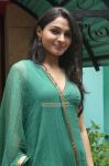 Pudhiya Thiruppangal Audio Launch Photos 3978