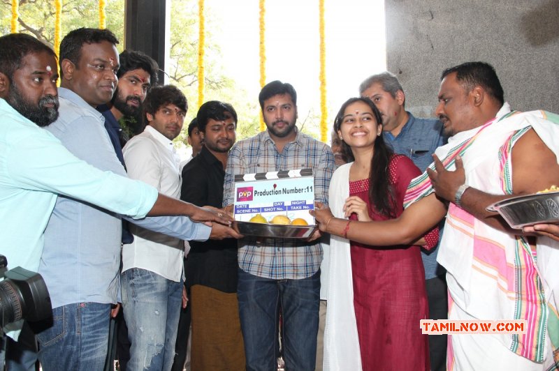 Mar 2015 Image Function Pvp Production No 11 Movie Pooja 852