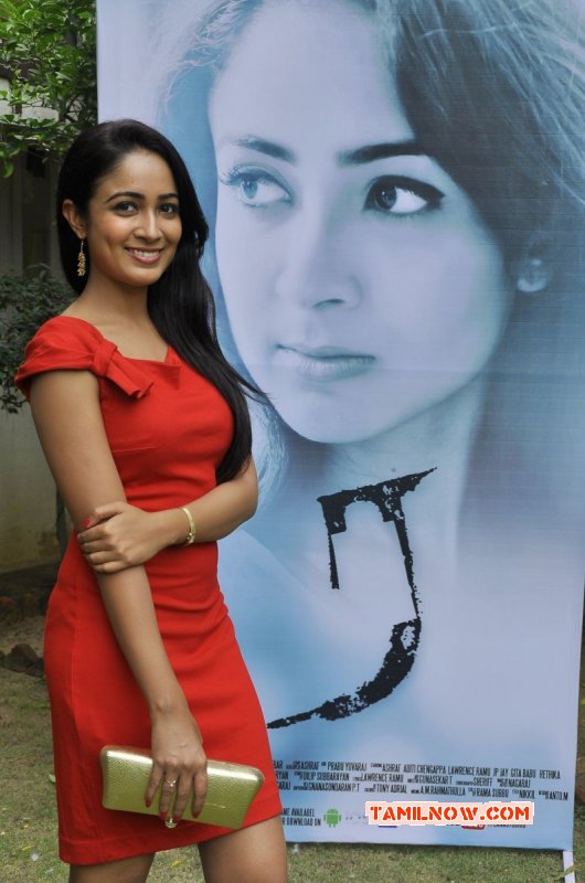 Actress Aditi Chengappa Event 336