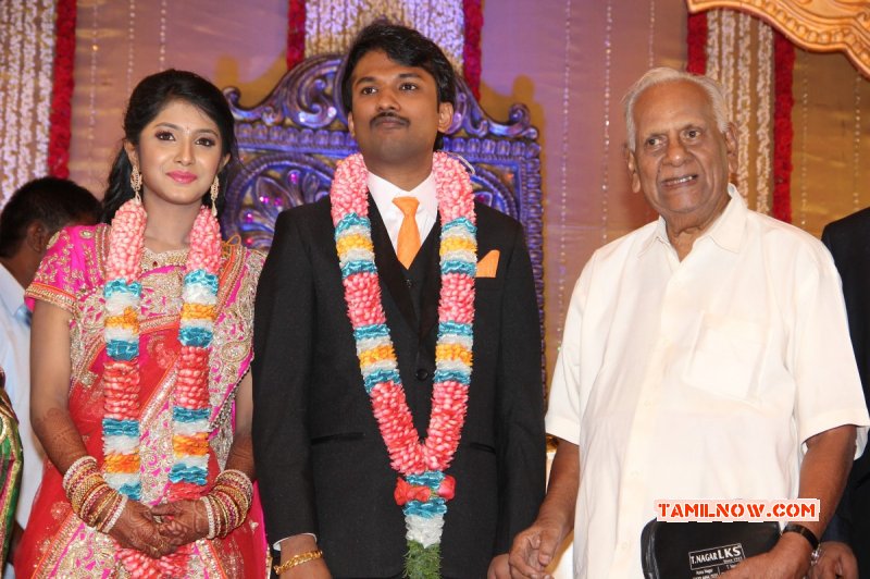 2014 Albums Raj Tv Md Daughter Marriage Reception Tamil Function 3268
