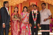 Function Raj Tv Md Daughter Marriage Reception Nov 2014 Picture 8400