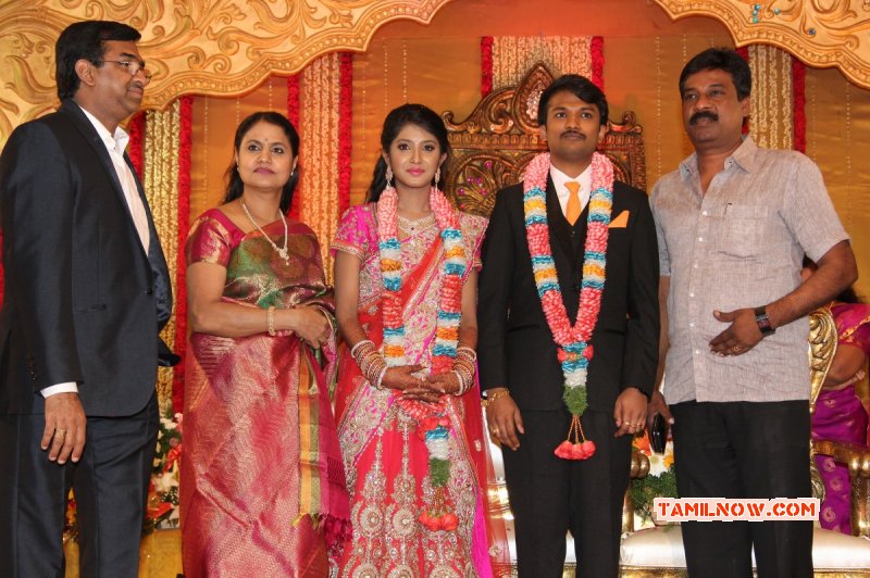 Function Raj Tv Md Daughter Marriage Reception Nov 2014 Picture 8400