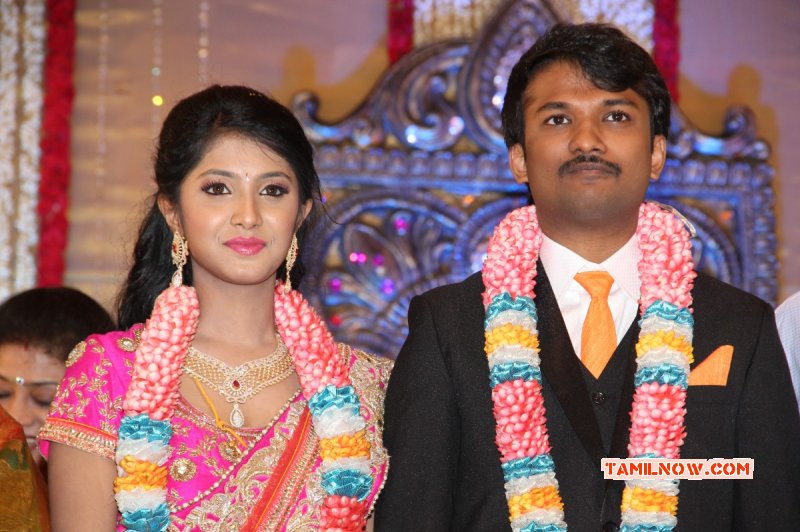 Raj Tv Md Daughter Marriage Reception 2014 Album 118