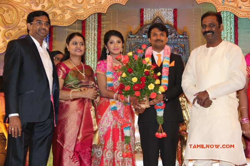 Raj Tv Md Daughter Marriage Reception Nov 2014 Photo 4349
