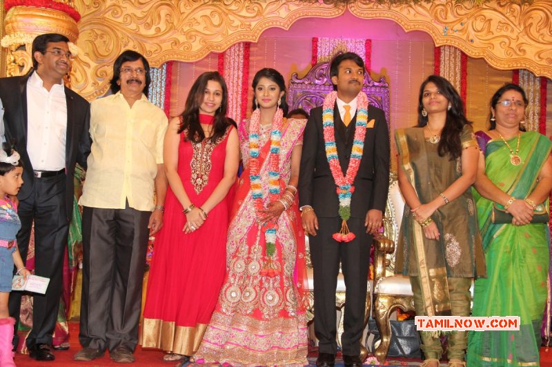 Raj Tv Md Daughter Marriage Reception Tamil Event Nov 2014 Photo 8494