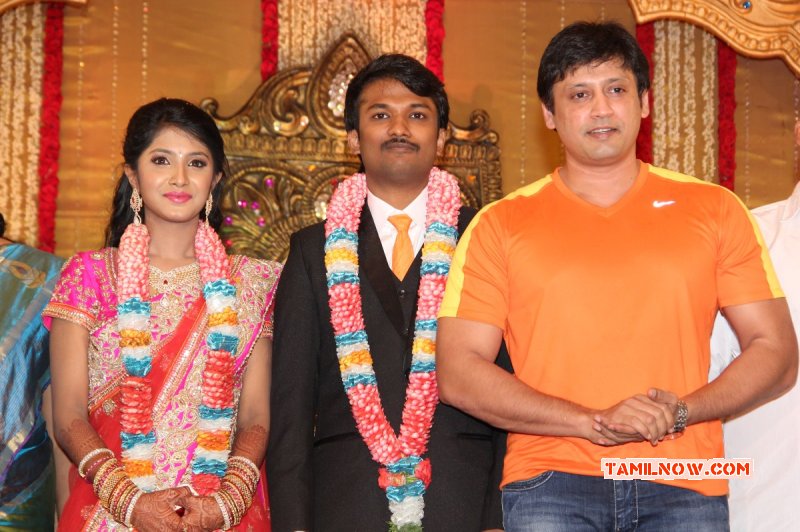 Raj Tv Md Daughter Marriage Reception Tamil Function 2014 Photo 7445
