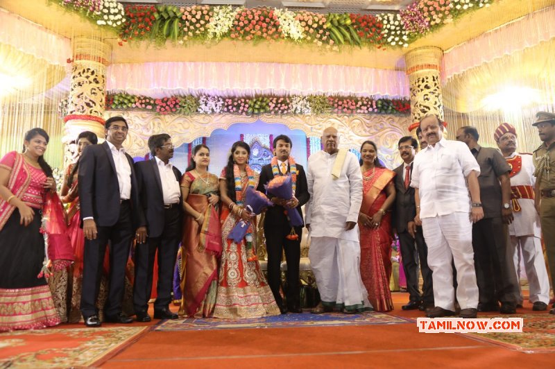 Recent Picture Event Raj Tv Md Daughter Marriage Reception 4863