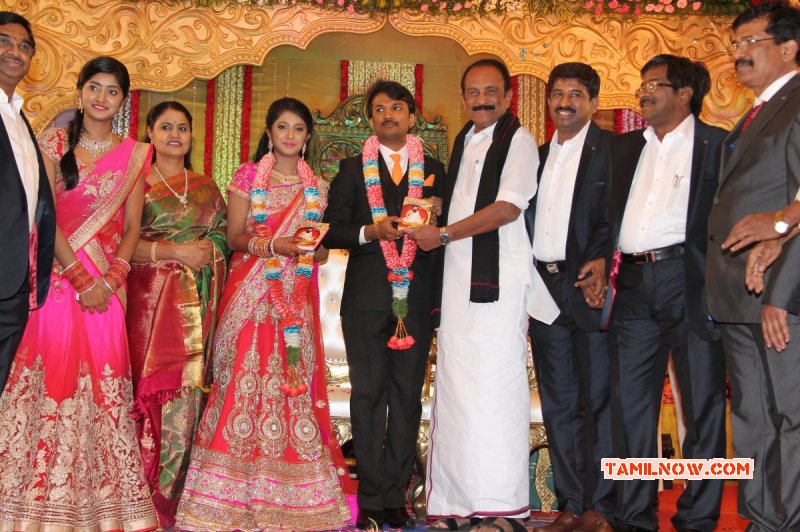 Tamil Event Raj Tv Md Daughter Marriage Reception 2014 Images 5942