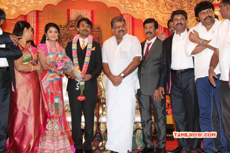 Tamil Event Raj Tv Md Daughter Marriage Reception New Photos 8765