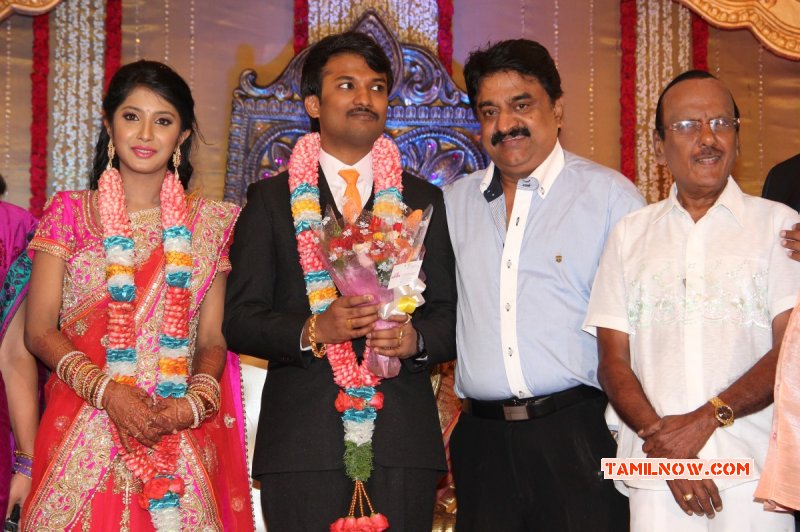Tamil Event Raj Tv Md Daughter Marriage Reception Pic 6914