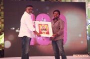 Raja Rani 100th Day Celebrations 399