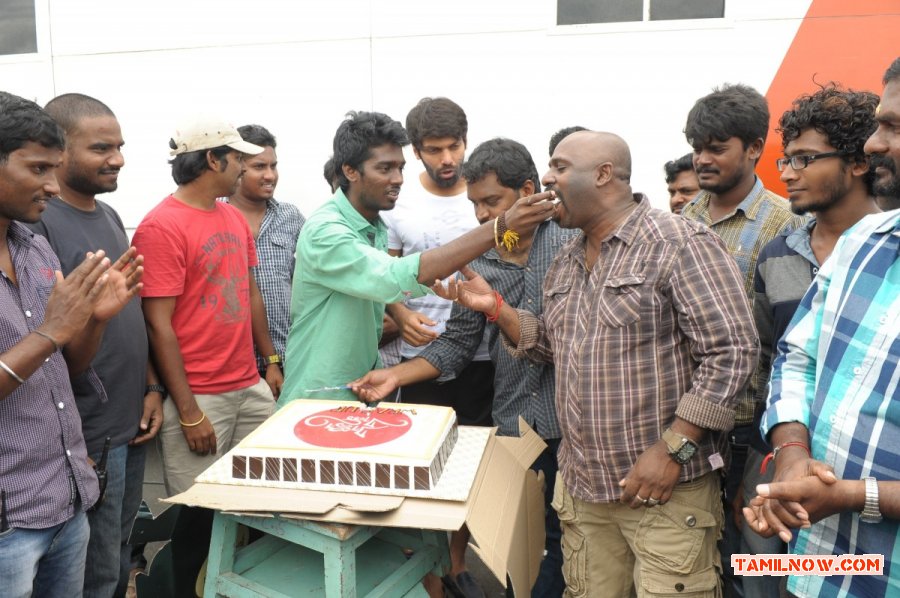 Raja Rani Movie Wrap Up 9567