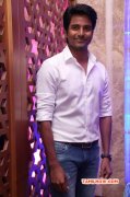 Siva Karthikeyan At Remo First Look Launch Photo 407