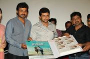 Saguni Audio Launch 6117