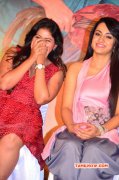 Recent Picture Sakalakala Vallavan Pressmeet Tamil Movie Event 6806