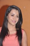 Trisha Krishnan 792