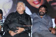 Sathiram Perundhu Nilayam Audio Launch 7584