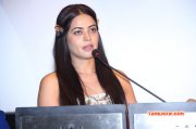 Actress Bindu Madhavi Latest Photo 890