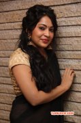 Actress Ramy At Selvandhan Audio Launch Photo 956