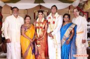 Sendhil And Dhasha Wedding Photos 4847
