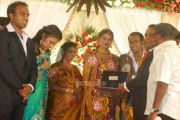 Senthil Son Wedding Reception Photos 6433