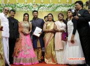 Function Shanthnu Keerthi Wedding Reception 2015 Picture 3834