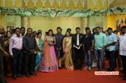 Recent Photos Event Shanthnu Keerthi Wedding Reception 6444